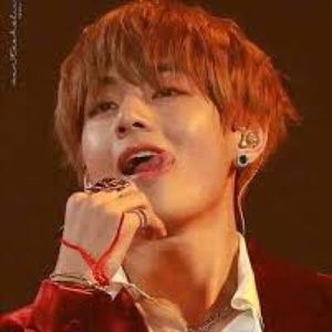 Meet your Posher, Carolina